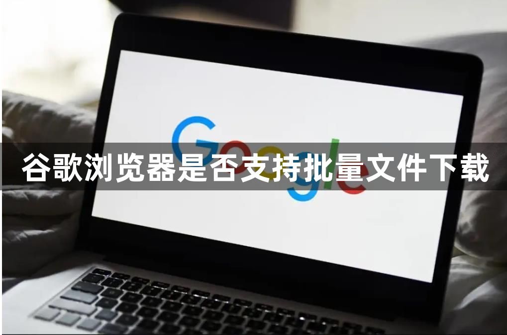 谷歌浏览器是否支持批量文件下载1