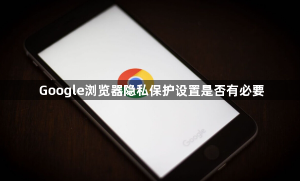 Google浏览器隐私保护设置是否有必要1