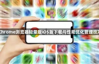 Chrome浏览器轻量版iOS版下载与性能优化管理技巧1