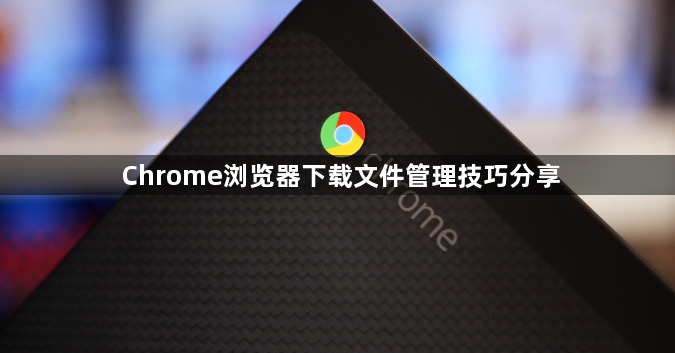 Chrome浏览器下载文件管理技巧分享1