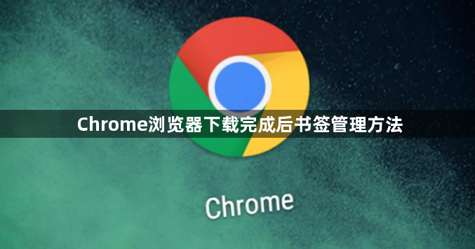 Chrome浏览器下载完成后书签管理方法1