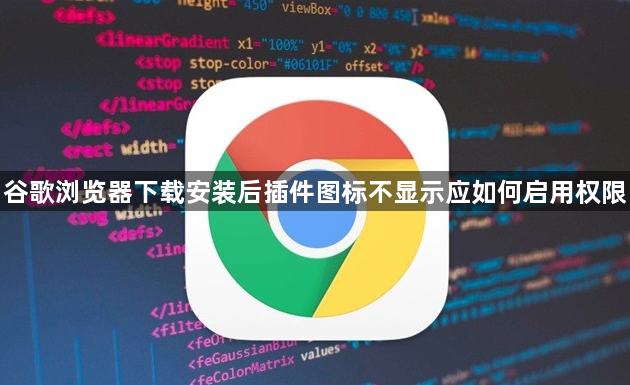 谷歌浏览器下载安装后插件图标不显示应如何启用权限1