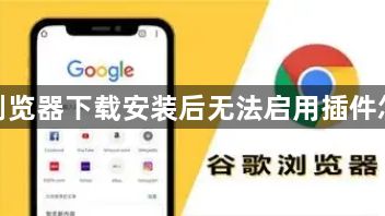 谷歌浏览器下载安装后无法启用插件怎么办1