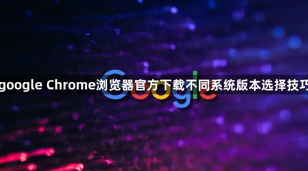 google Chrome浏览器官方下载不同系统版本选择技巧1