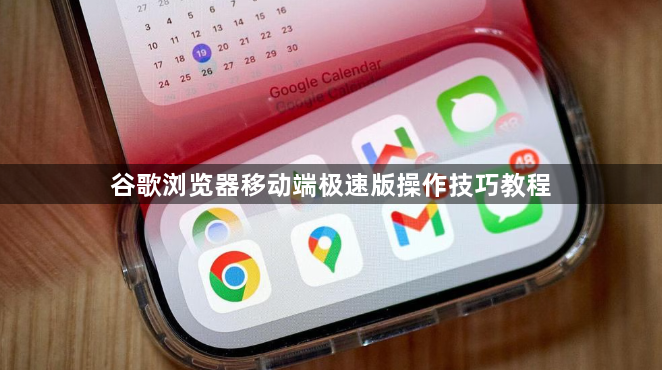 谷歌浏览器移动端极速版操作技巧教程1