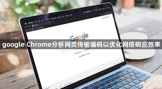 google Chrome分析网页传输编码以优化网络响应效率1