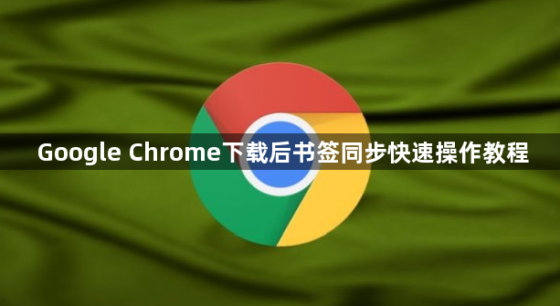 Google Chrome下载后书签同步快速操作教程1