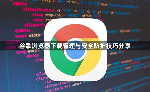 谷歌浏览器下载管理与安全防护技巧分享1