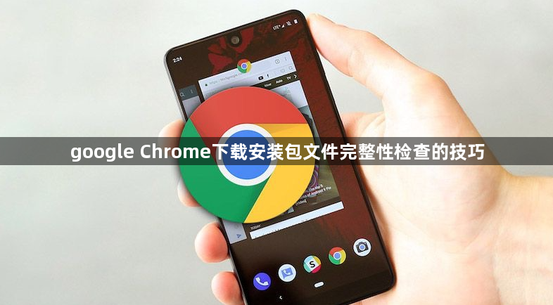 google Chrome下载安装包文件完整性检查的技巧1